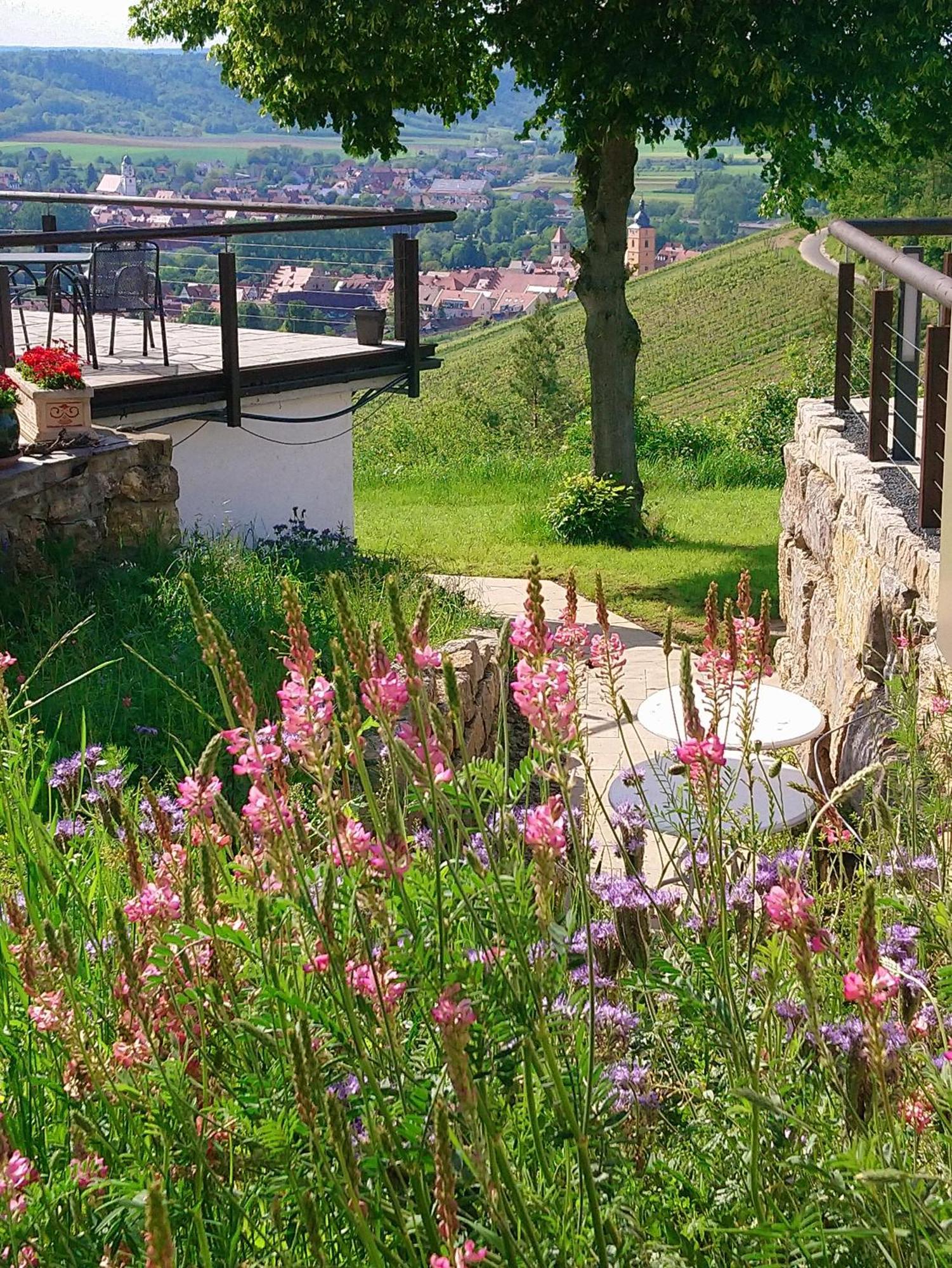 Kirschberghof Gaestehaus Und Weinverkauf Sommerhausen Ngoại thất bức ảnh